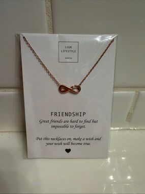 Rose Gold Infinity Friendship Necklace